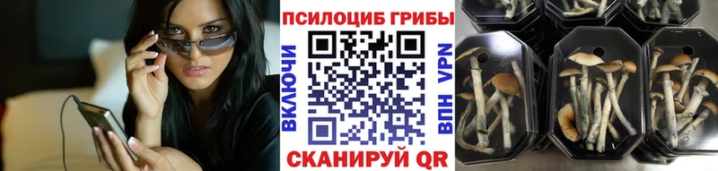 блэк спрут tor  Верхний Тагил  Псилоцибиновые грибы прущие грибы 